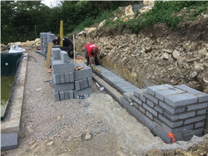 Wych Elm – Retaining Wall