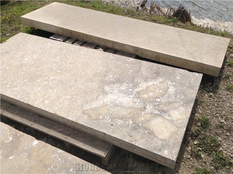 Oysters Stone