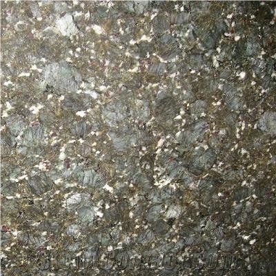 Green Butterfly Granite