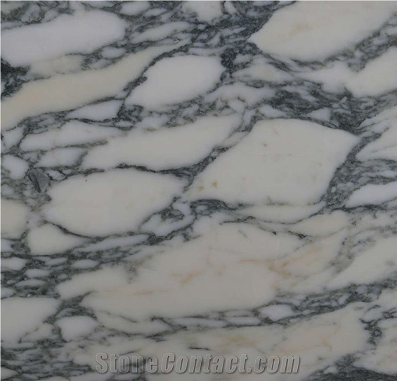 Arabescato Marble Slabs & Tiles, Italy White Marble