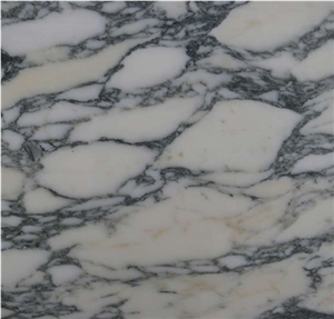 Arabescato Marble Slabs & Tiles, Italy White Marble Arabescato Marble Slabs & Tiles, Italy White Marble