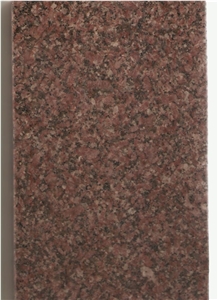 Tomato Red, India Red Granite Slabs & Tiles