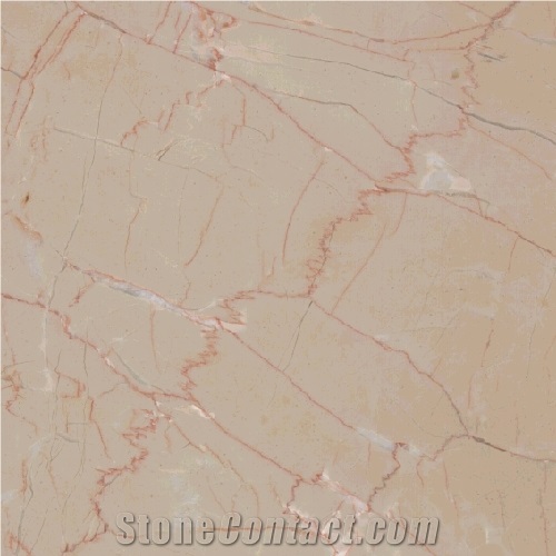 Rosa Atlantide Limestone