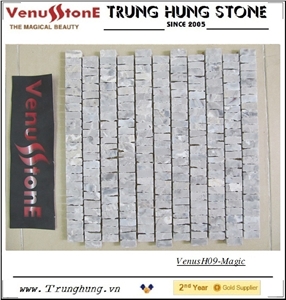 Vietnam Gray Marble Mosaic with Magic Design