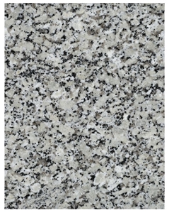 Gris Perla Blanco Granite Blocks