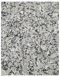 Gris Perla Crema Granite Own Quarry