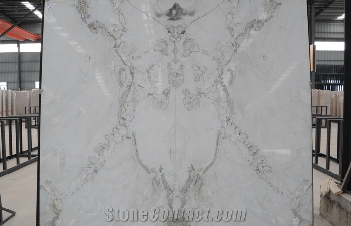 China Calacatta Fantasy White Marble Slabs,Machine Cutting Tiles, China White Marble Panel for Hotel Reception Desk,Floor Covering