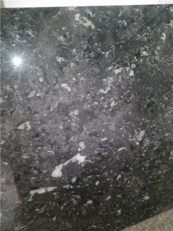 Conch Grey Granite Polished Slabs, Dark Grey Granite with Veins Machine Cutting Panel Tile for Wall Cladding,Lobby Floor Covering