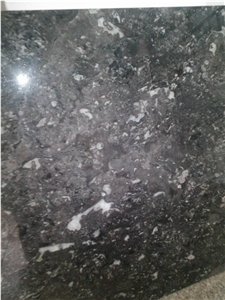 Conch Grey Granite Polished Slabs, Dark Grey Granite with Veins Machine Cutting Panel Tile for Wall Cladding,Lobby Floor Covering