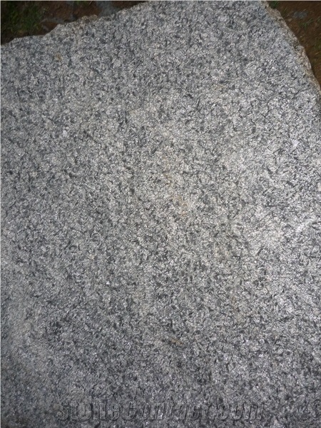 Green Pine Leaf Slabs & Tiles, China Green Granite