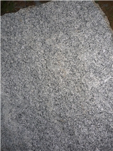 Green Pine Leaf Slabs & Tiles, China Green Granite