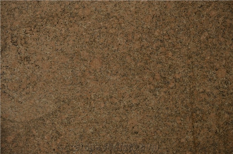 Granite Giallo Venetiano Slabs & Tiles, Giallo Veneziano Granite Slabs & Tiles