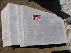 China White Quartzite Slabs & Tiles