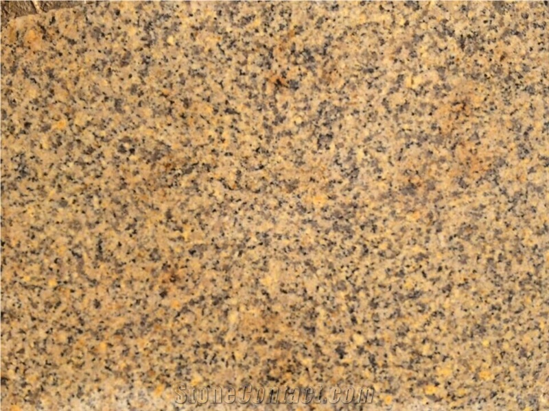 Rosa Blanca Granite Tiles & Slabs,Golden Crystal Granite,China Yellow Granite
