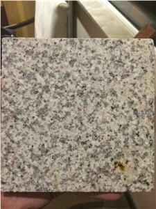 Rosa Blanca Granite Tiles & Slabs,Golden Crystal Granite,China Yellow Granite