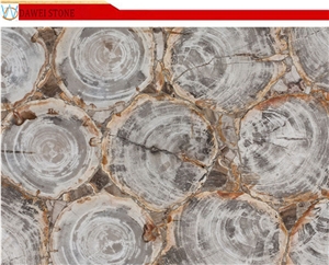 Fossil Wood Semiprecious Stone Slabs