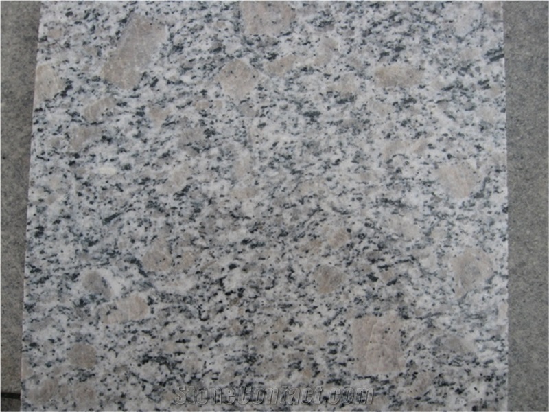 Pearl Grey Light Granite,China G383 Granite Tiles