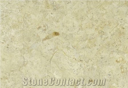 Rh 20 - Jerusalem Royal Cream Limestone Slabs & Tiles, Beige Palestine Limestone Slabs & Tiles, Flooring