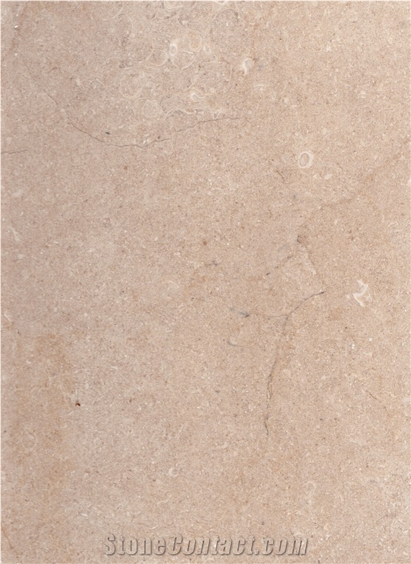 Kk1350 Slabs & Tiles, Palestine Beige Limestone