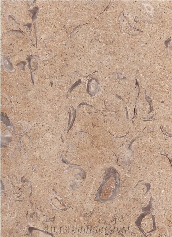 Ks1650 Slabs & Tiles, Palestine Beige Limestone