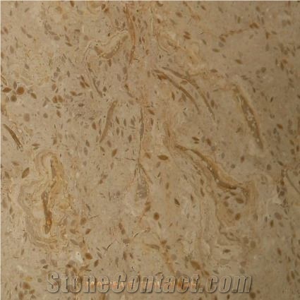Fossil Beige Marble Tile & Stairs, Pakistan Beige Marble