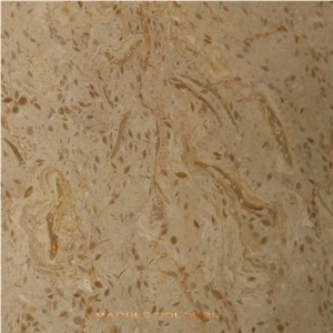 Fossil Beige Marble Tile & Stairs, Pakistan Beige Marble