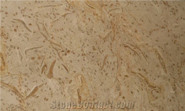 Fossil Beige Marble Tile & Stairs, Pakistan Beige Marble