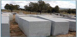 Gris Quintana Granite Blocks, Spain Grey Granite Gris Quintana Granite Blocks, Spain Grey Granite