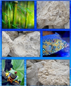 Coral Rock Marine Limestone Boulder, White Limestone Boulders