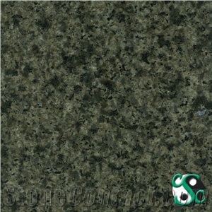 Galaxy Green Granite Polished Tile, China Green Granite