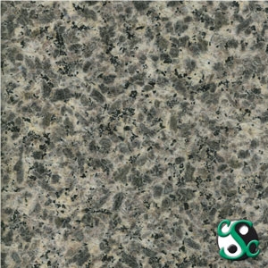Leopard Skin Granite Polished Tile Leopard Skin Granite Polished Tile