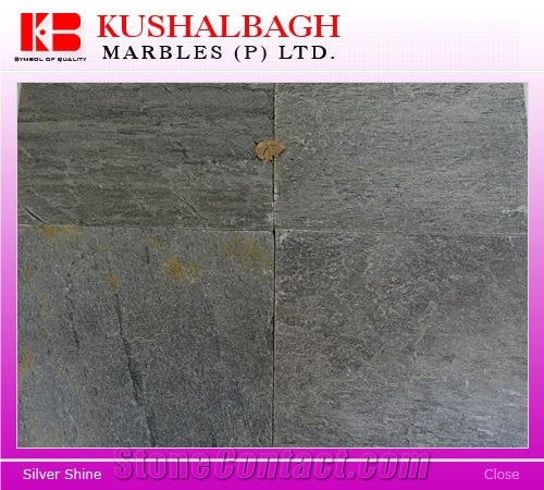 Silver Shine Slate Tiles, India Grey Slate