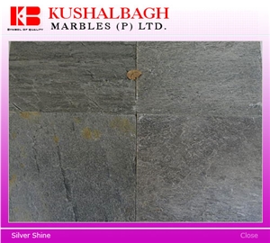 Silver Shine Slate Tiles, India Grey Slate