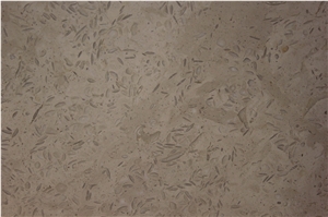 Dark Fossil Beige Limestone Slabs