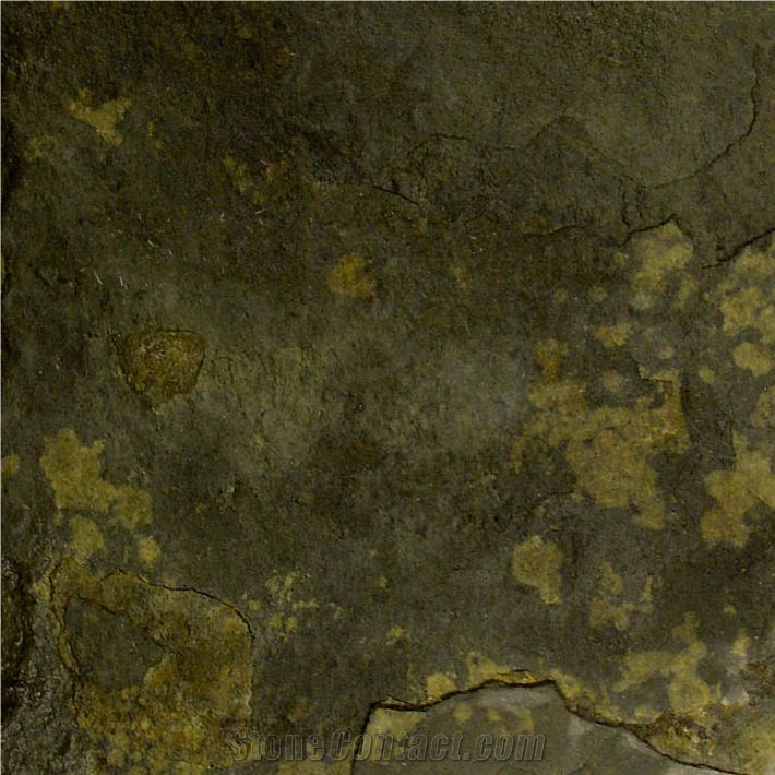 China Green Slate Slabs & Tiles