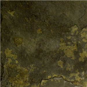 China Green Slate Slabs & Tiles