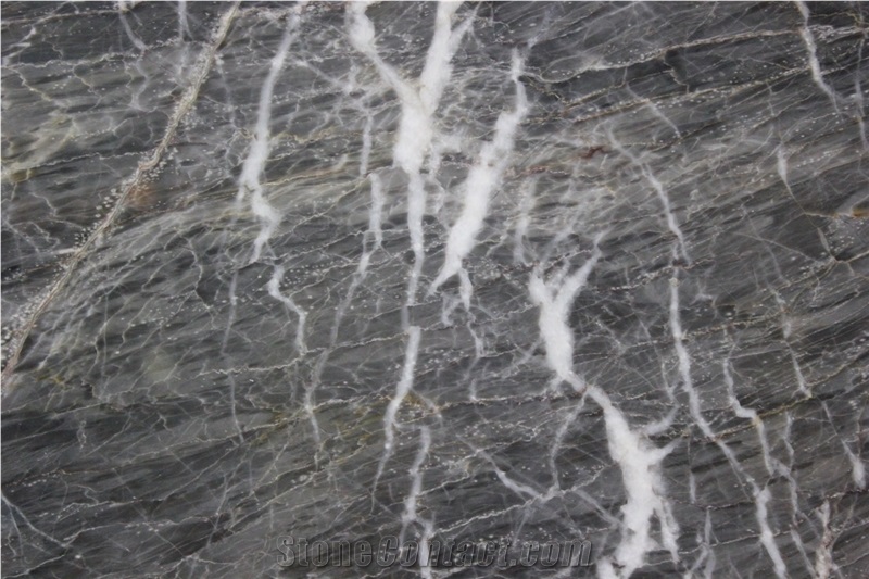 Rome Gray Marble Slabs, Tiles