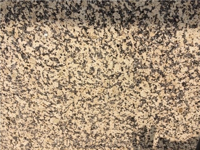 Jiangxi Chrysanthemum Yellow Granite Slab,Tiles