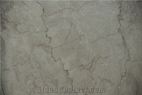 Shelly Beige Marble Slabs, Tiles