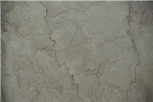 Shelly Beige Marble Slabs, Tiles