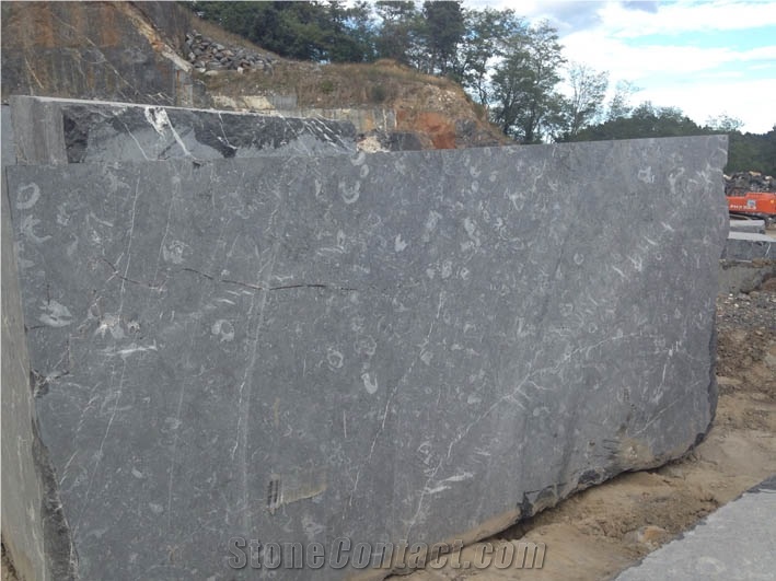 Black Markina Marble Block , Spanish Black Marble Block