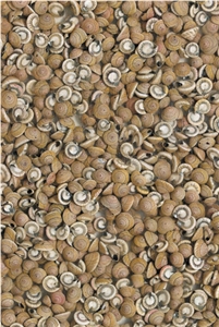 Sunshine Cream Shell Shape Artificial Stone Slab