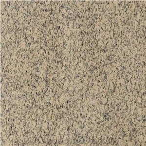 Granite Slabs & Tiles