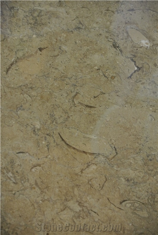 Coffee Mocha Limestone Slabs