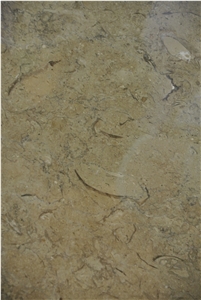 Coffee Mocha Limestone Slabs