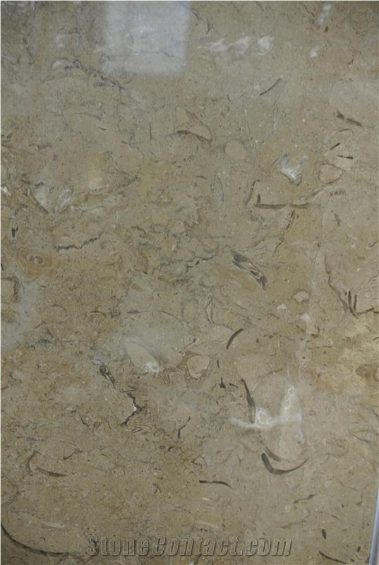 Coffee Mocha Limestone Slabs