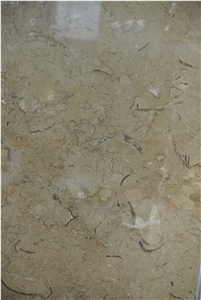 Coffee Mocha Limestone Slabs