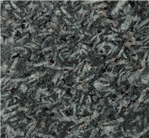 St. Louis Granite Slabs & Tiles, Viet Nam Black Granite