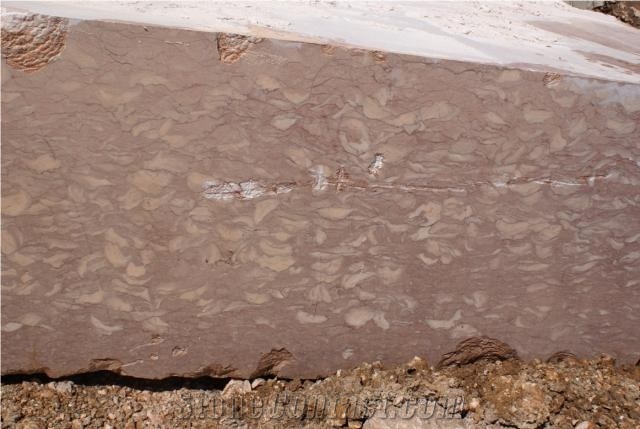 Fossil Pink Limestone Blocks, Fosilius Limestone Blocks