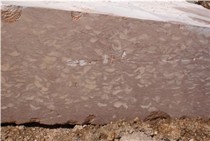 Fossil Pink Limestone Blocks, Fosilius Limestone Blocks